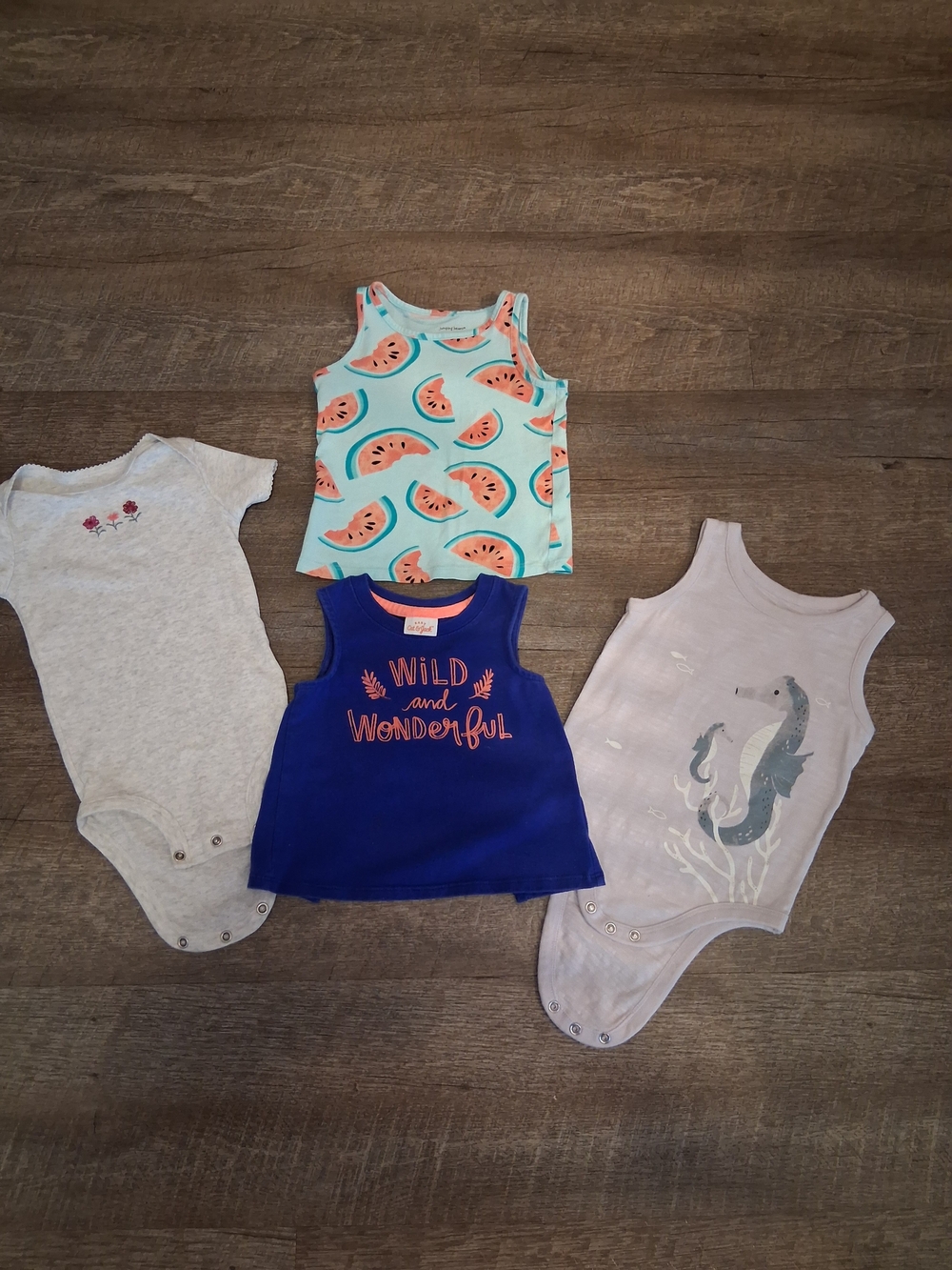 Four Piece 12M Girl Bundle (2 Onesies, 2 Tank Tops)